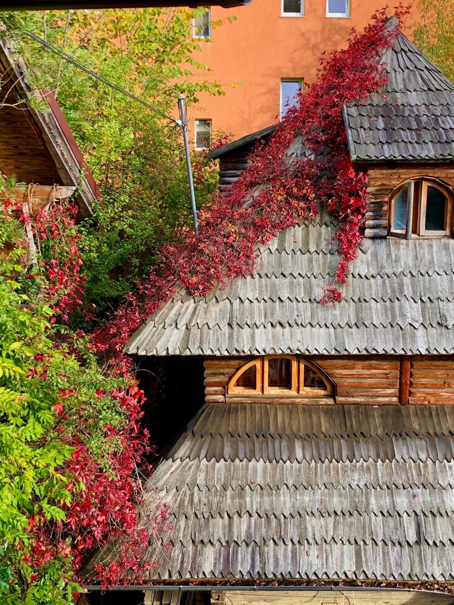 Вилла Casa Ieud - Catun Синая Экстерьер фото